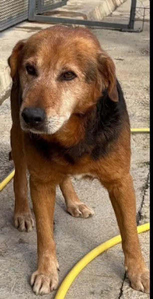 4anni tg media uscito dal box solo x le fotoSICILIA | Foto 2