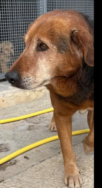 4anni tg media uscito dal box solo x le fotoSICILIA | Foto 1