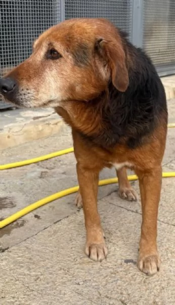 4anni tg media uscito dal box solo x le fotoSICILIA | Foto 0