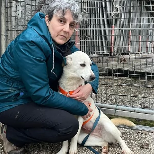 CHERRY cucciolona vivace e socievole | Foto 0