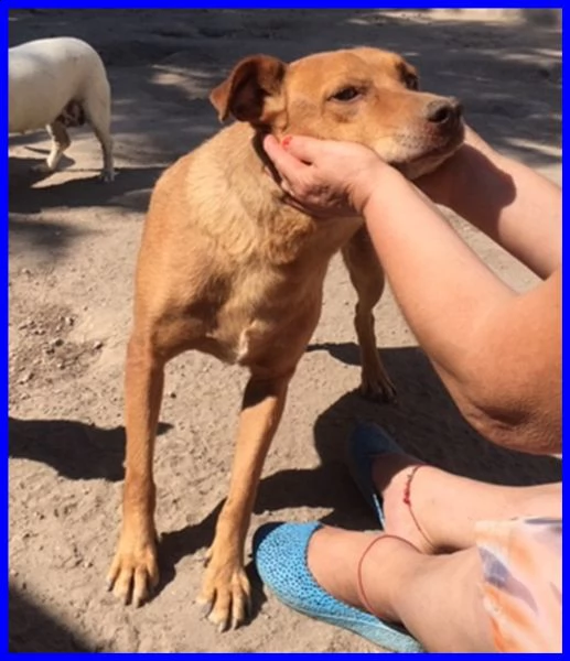 tony dolce e solare affamato di coccole che non ha mai avuto | Foto 0