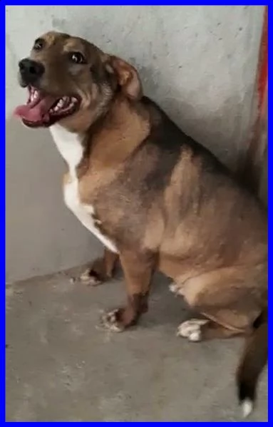 stoccolma patatona 1 anno e mezzo non ha mai conosciuto il mondo fiori dal box | Foto 1