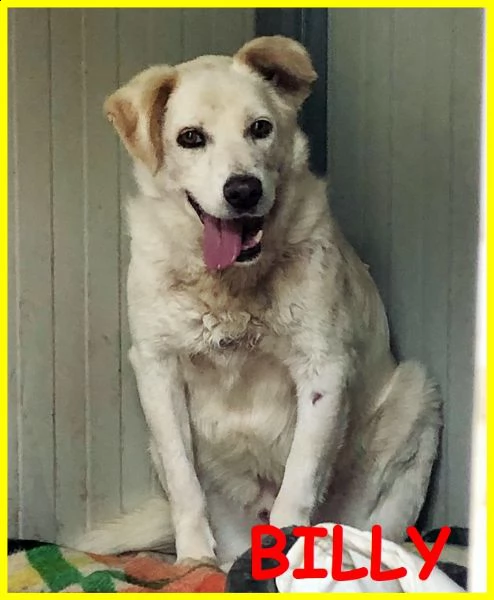 billy 7 anni molto spaventato merita anche lui una possibilità