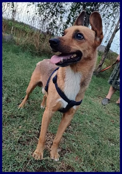 ZAK tenero piccoletto hanno rinunciato a lui | Foto 1