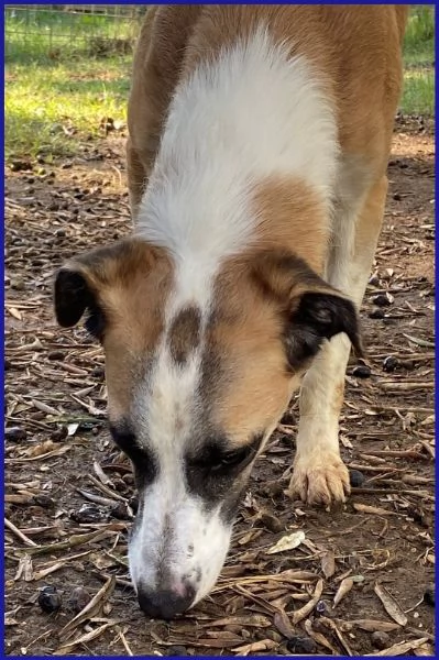 NORMA un po timorsa  sogna una famiglia | Foto 3