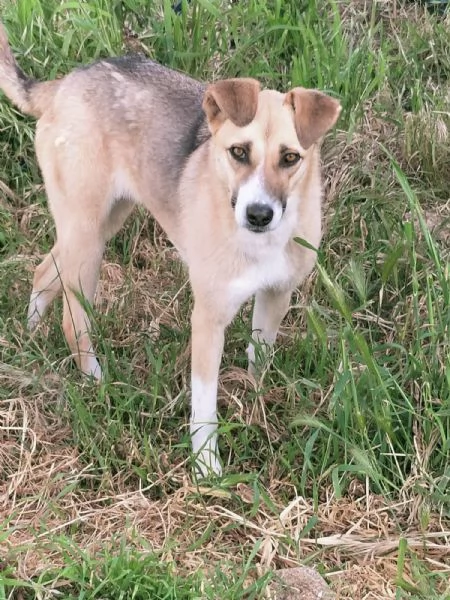 UNA MAMMA PER MIRTA | Foto 0