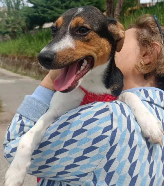 UNA MAMMA PER GEA | Foto 2