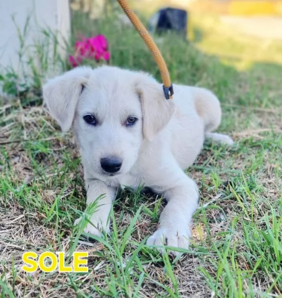 UNA MAMMA PER SOLE