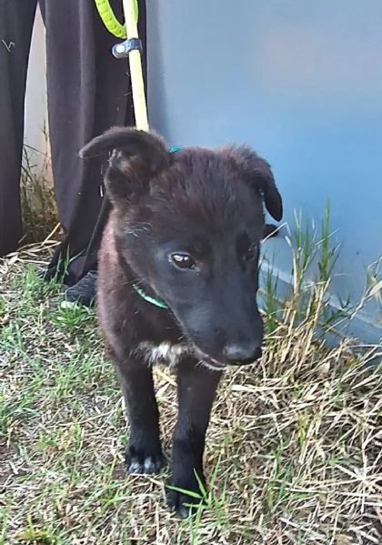 UNA MAMMA PER MORA | Foto 0