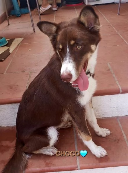 UNA MAMMA PER CHOCO