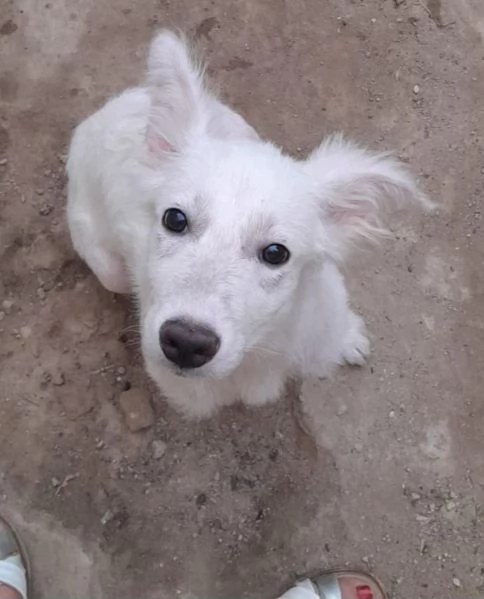 UNA MAMMA PER CHARLOTTE  | Foto 3