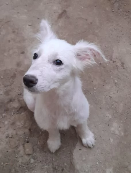 UNA MAMMA PER CHARLOTTE  | Foto 0