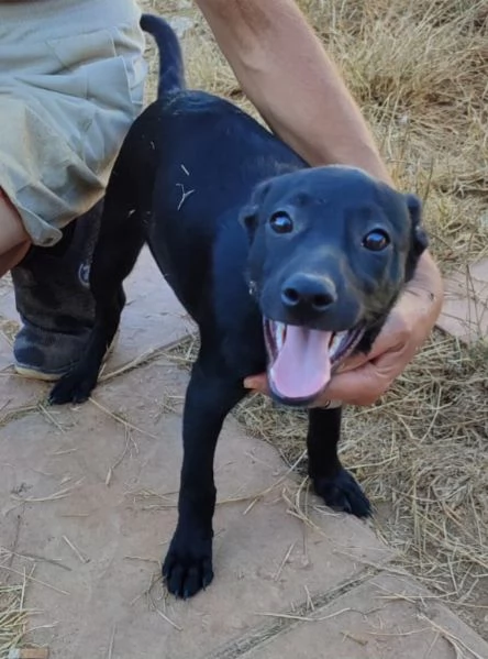 UNA MAMMA PER MOKA | Foto 1