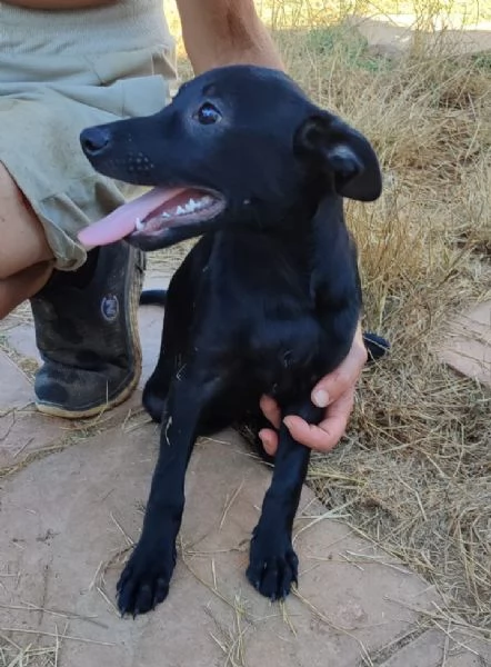 UNA MAMMA PER MOKA | Foto 0