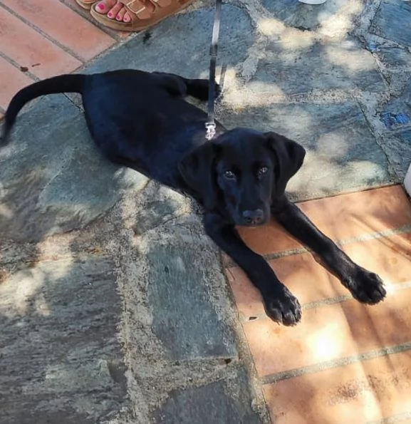 UNA MAMMA PER SIBILLA