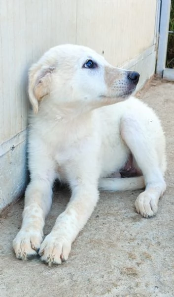 UNA MAMMA PER SOLEIL  | Foto 3