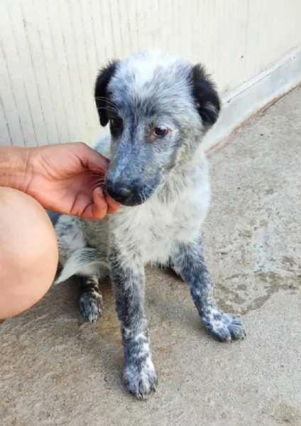 UNA MAMMA PER ELLIE | Foto 1