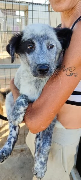 UNA MAMMA PER ELLIE | Foto 0