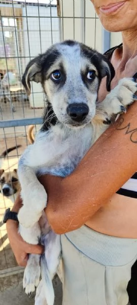 UNA MAMMA PER SID | Foto 0