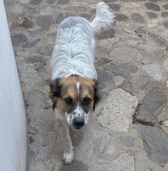 UNA MAMMA PER BRANDO | Foto 2