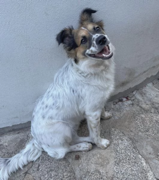 UNA MAMMA PER BRANDO | Foto 0