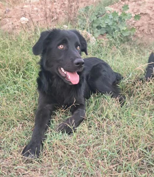 UNA MAMMA PER LUCIO | Foto 3