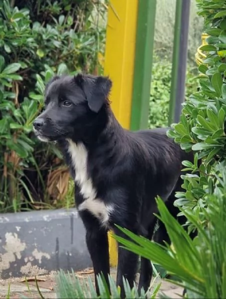 UNA MAMMA PER MILO  | Foto 2