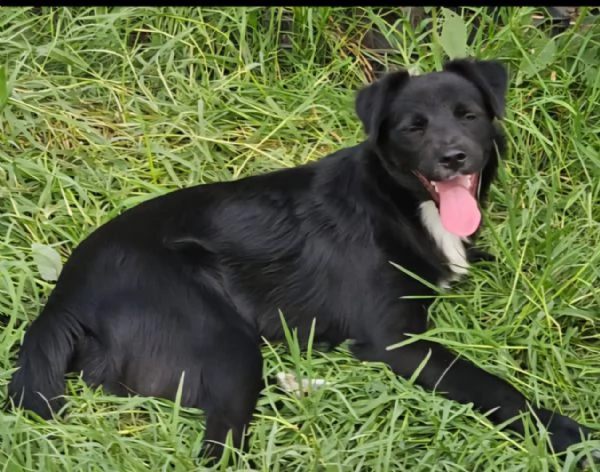 UNA MAMMA PER MILO  | Foto 1