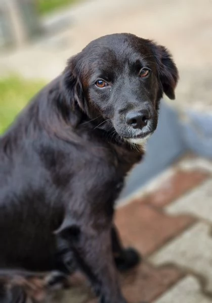 UNA MAMMA PER MARVIN  | Foto 0