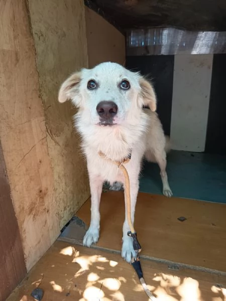 UNA MAMMA PER LIZZY | Foto 1