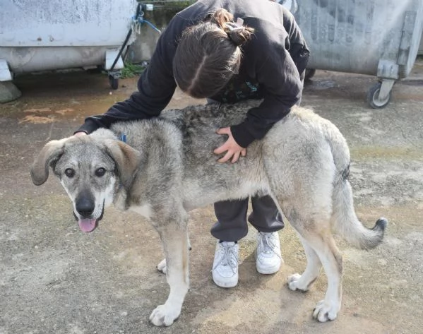 UNA MAMMA PER BALU | Foto 4