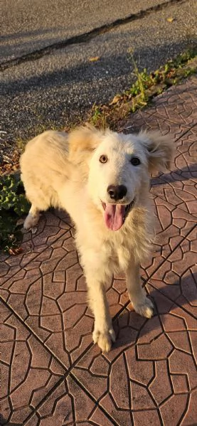 UNA MAMMA PER AKY  | Foto 2