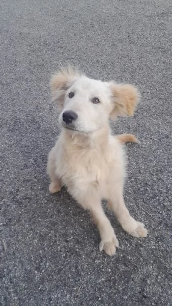 UNA MAMMA PER AKY  | Foto 1