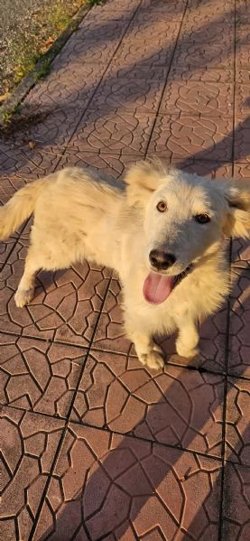 UNA MAMMA PER AKY  | Foto 0