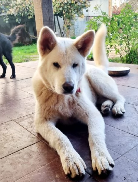 UNA MAMMA PER HIRO | Foto 6