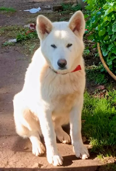 UNA MAMMA PER HIRO | Foto 4