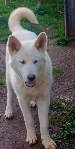 UNA MAMMA PER HIRO | Foto 3