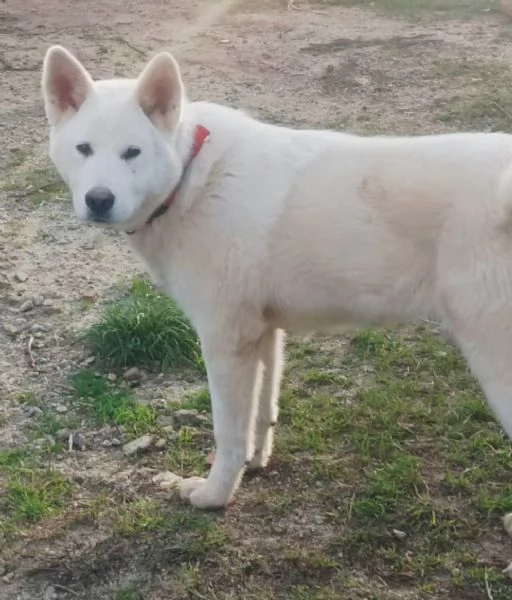 UNA MAMMA PER HIRO | Foto 2