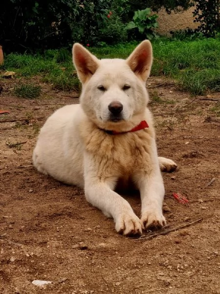 UNA MAMMA PER HIRO | Foto 1