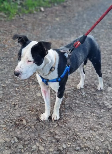 UNA MAMMA PER JACK | Foto 0