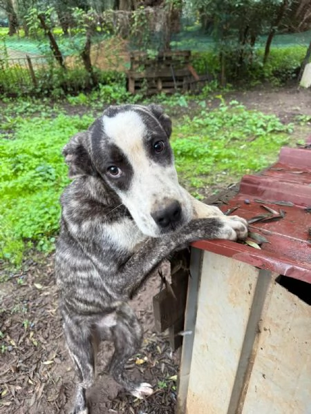UNA MAMMA PER OTIS | Foto 2
