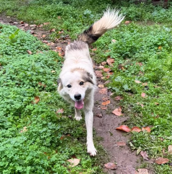 UNA MAMMA PER MILO | Foto 1