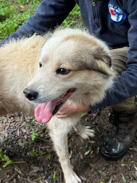 UNA MAMMA PER MILO | Foto 0