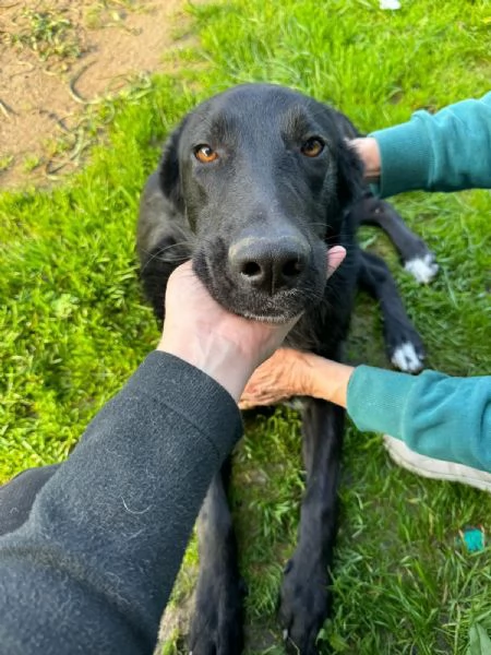 UNA MAMMA PER DANTE | Foto 3