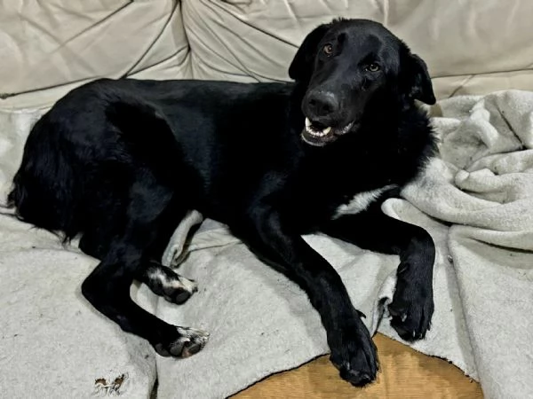 UNA MAMMA PER DANTE | Foto 2