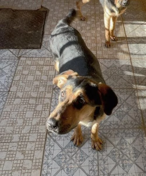 UNA MAMMA PER CIRCE  | Foto 1