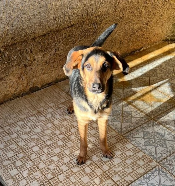 UNA MAMMA PER CIRCE  | Foto 0