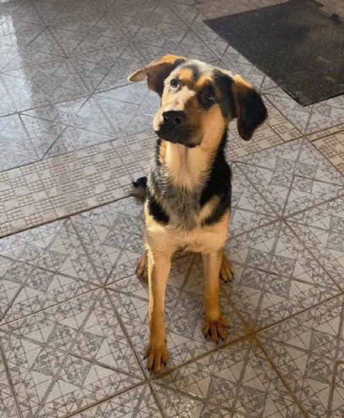 UNA MAMMA PER ATTILA | Foto 0