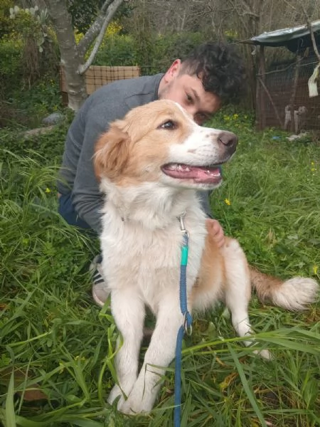 UNA MAMMA PER MEGGY  | Foto 1