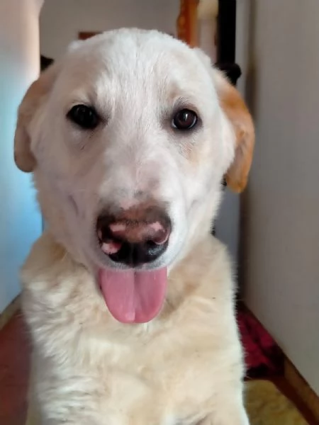 UNA MAMMA PER WILLY | Foto 2